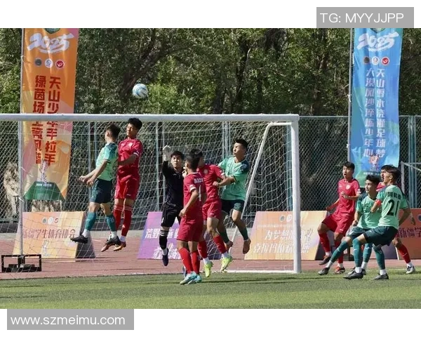 足球瓜瓜带你领略世界足球盛宴尽享精彩赛事与球星风采